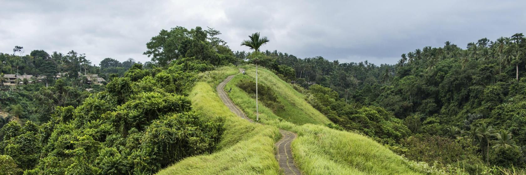 Caminho do Cume de Campuhan